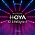 HOYA ID LIFESTYLE 4 | Ótica Vila Sônia - Imagem 1