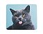 MOUSEPAD RETANGULAR CLASSIC FUNNY CAT RELIZA - Imagem 1