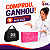 Neurodyn Portable System 2 Canais Com 5 Correntes - Ibramed - Imagem 2