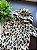 MACACÃO SEM PÉ PELUCIADO CARTER'S - ANIMAL PRINT - MENINA - Imagem 4