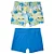 MODA PRAIA KIT 2 SUNGAS TIP TOP KIDS - CARROS - MENINO - Imagem 2