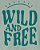 CONJUNTO VERÃO 3 PEÇAS CARTER'S - WILD AND FREE - MENINO - Imagem 2