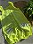 MACACÃO ROMPER CARTER'S - NEON - MENINA - Imagem 4