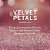 BODY SPLASH VICTORIA'S SECRET VELVET PETALS SHIMMER 250ml - Imagem 3