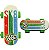 KIT 10 SKATE DE DEDINHOS TECH DECK - BENDY BOARDS - Imagem 7