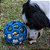 BOLA JW HOLEE ROLLER - AZUL - Imagem 2