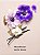 LOÇÃO HIDRATANTE VICTORIA'S SECRET - MIDNIGHT BLOOM - 236 ml - Imagem 2