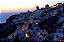 Oia Santorini Grécia - Imagem 1