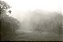 Neblina - Imagem 1