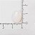 12-0240 - Fio de Madrepérolas Marfim Oval 10mmx15mm - Imagem 2