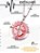 Colar Cordão Corrente 55cm Feminino Masculino Pingente Time Sport Club Internacional Aço Inox - Imagem 9