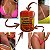 Parafina Bronzeadora - Pharmakos - 80g - Imagem 3