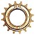 Catraca Roda Livre Single Speed Xin Du 16t - Imagem 2