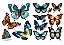 Adesivos Abelhas e Borboletas - Imagem 10