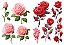 Adesivos Plantinhas e Rosas - Imagem 10