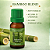 Essência para Aromatizador Bamboo Blend 10 ml - Imagem 2