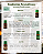 Essência Aromática Flor de Cerejeira 10ml Natural Company - Imagem 10