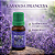 Essência para Aromatizador Lavanda Francesa 10 ml. - Imagem 2