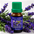 Essência para Aromatizador Lavanda Francesa 10 ml. - Imagem 3