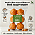 Sachês Perfumados Bamboo Blend Natural Company - 6 Bolinhas de Madeira - Imagem 2