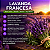 Velas Aromáticas Lavanda Francesa 20 g. Embalagem com 3 Velas - Imagem 3