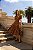 Vestido em Viscolinho Joyce Marrom - Imagem 1