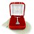 Corrente Feminina 40/45cm N S Aparecida Folheada Prata CR835 - Imagem 1
