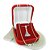 Corrente Feminina 45/50cm NS Aparecida Folheada Prata CR835 - Imagem 4