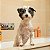 Pet Head Ditch The Dirt Shampoo Desodorizante para Cachorro - Imagem 4