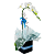 Orquídea Branca Phalaenopsis - Imagem 4