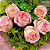 Buquê Rustic de 6 Rosas Cor de Rosa com chocolate Raffello - Imagem 2