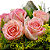 Buquê Rustic de 6 Rosas Cor de Rosa com chocolate Raffello - Imagem 3