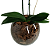 Orquídea no Vidro - Pura Sofisticação - Imagem 4