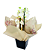 Mini Orquídea Branca 2 Hastes - Imagem 5