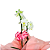 Mini Orquídea Branca Cachepô - Imagem 2