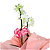 Mini Orquídea Branca Cachepô - Imagem 3