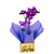 Mini Orquídea Roxa Phalaenopsis - Imagem 4