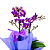 Mini Orquídea Lilás 2 Hastes - Imagem 3
