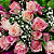 Buquê de 12 Rosas Cor de Rosa - Imagem 4