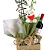 Orquídea Branca 1 Haste Com Vinho e Ferrero Rocher - Imagem 3
