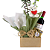 Orquídea Branca 1 Haste Com Vinho e Ferrero Rocher - Imagem 2