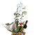 Orquídea Branca 1 Haste Com Vinho e Ferrero Rocher - Imagem 4