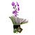 Orquídea Lilás 1 Haste com Caneca e Ferrero Rocher - Imagem 4