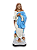 Nossa Senhora da Conceição - Imagem 2