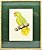 Quadro de Pássaro 1 com Passpatour verde e faux bamboo - Imagem 1