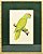 Quadro de Pássaro 2 com Passpatour verde e faux bamboo - Imagem 1