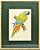 Quadro de Pássaro 11 com Passpatour verde e faux bamboo - Imagem 1