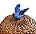 Boleira de vime com pássaro azul - Imagem 3