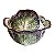 Bowl p com tampa alface roxa - Imagem 1