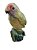 Papagaio de cerâmica no tronco - Imagem 1
